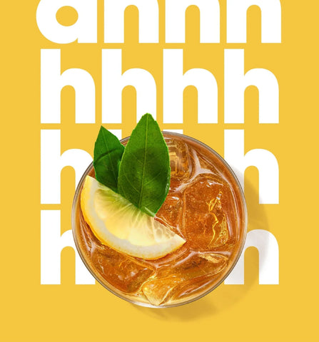 Sodastream Classics® Diet Ginger Ale Drink Mix 4 Pack 440ml